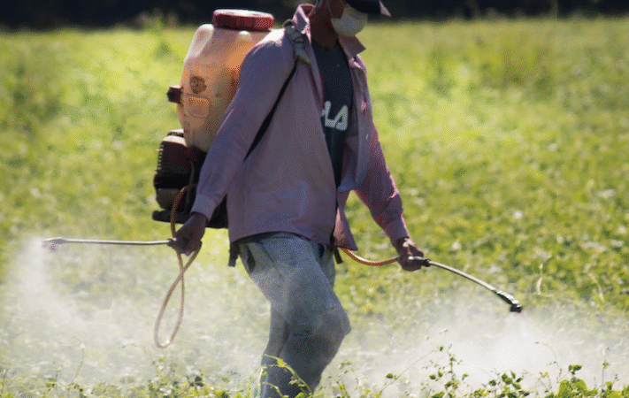 Prohibición de agrotóxicos: mucho por hacer