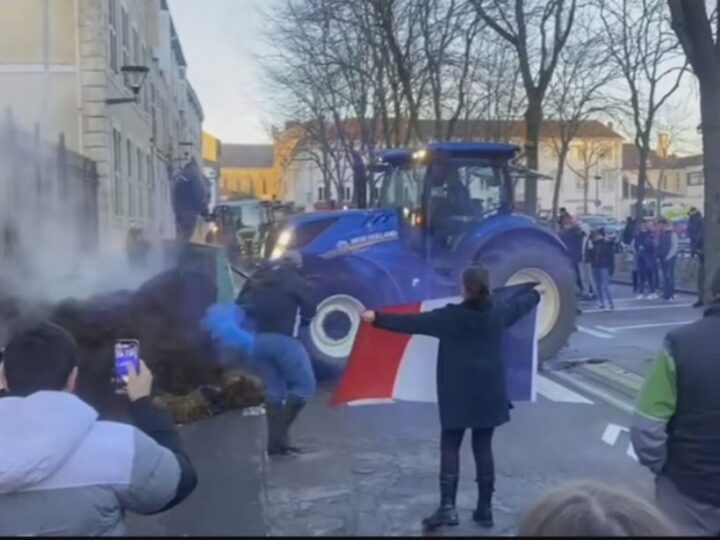 Acuerdo Unión Europea – Mercosur: evaluación de las implicaciones estratégicas para Europa