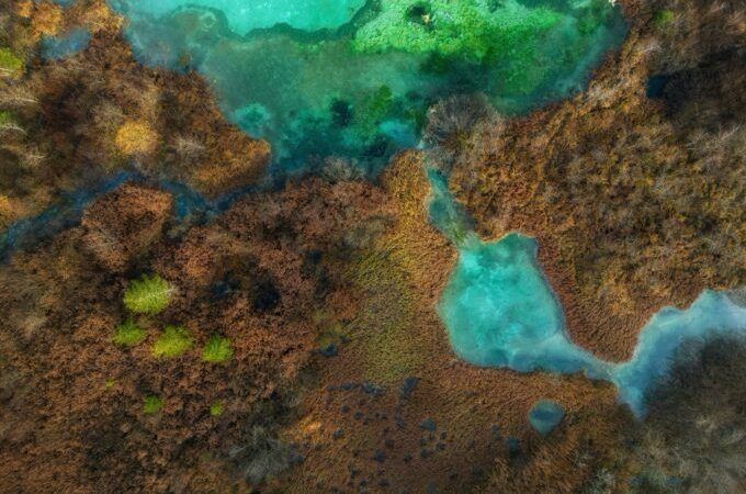 ¿Está colapsando la Gran Barrera de Coral?