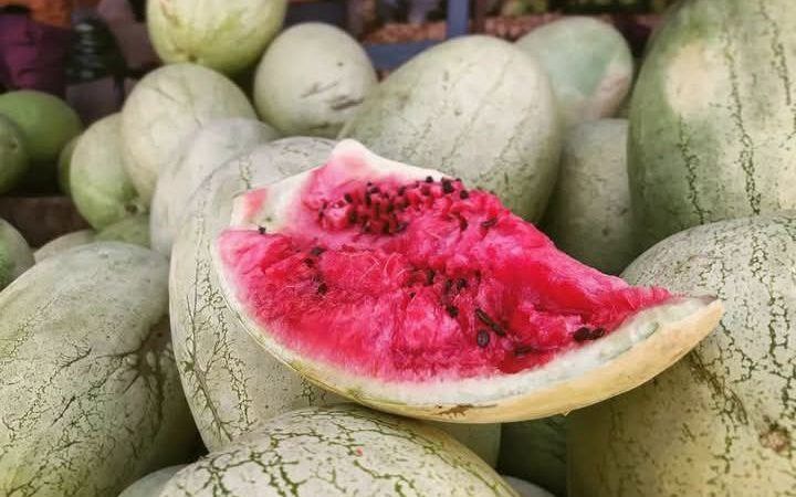 Diario de vida, diario de militancia y viceversa