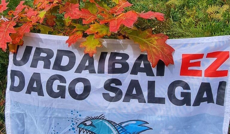 Guggenheim Urdaibai: juego de trileros