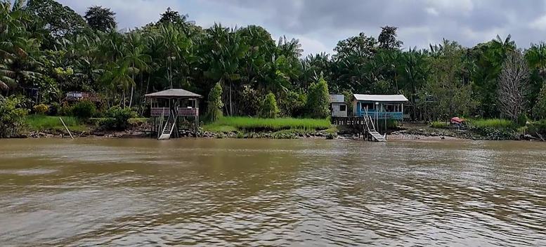 Una escuela del Amazonas desafía el cambio climático