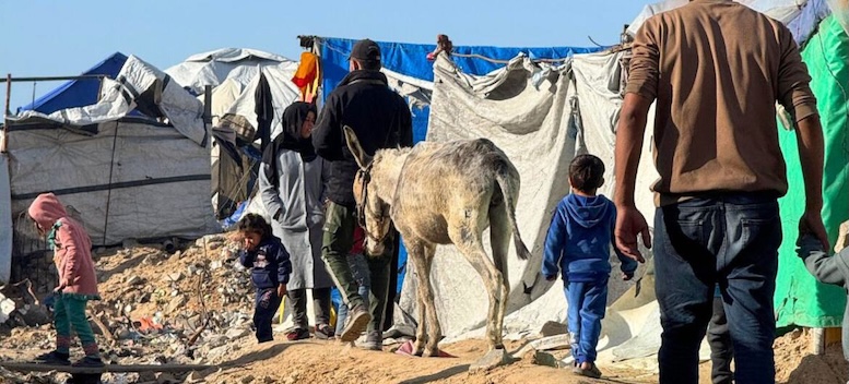 Israel sigue matando civiles en Gaza pese al alto el fuego