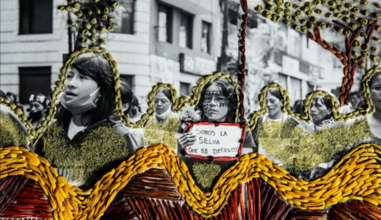 Un clima cambiante para los saberes indígenas