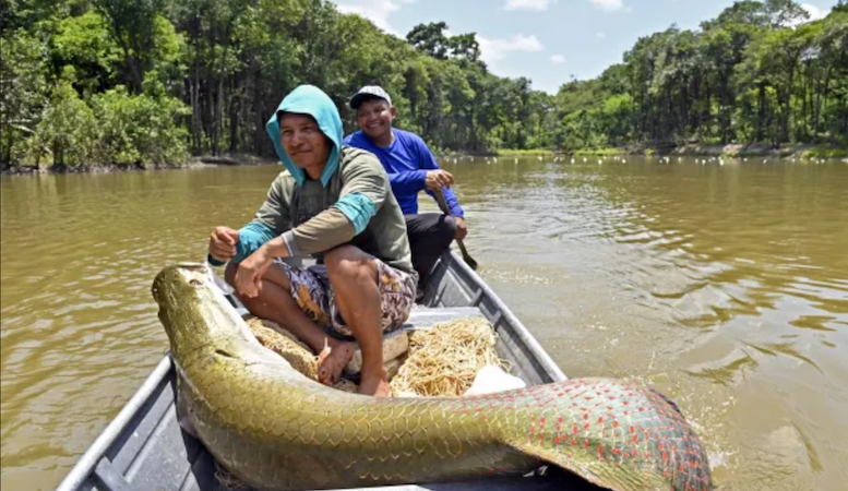 Brasil: las lecciones del pueblo del agua