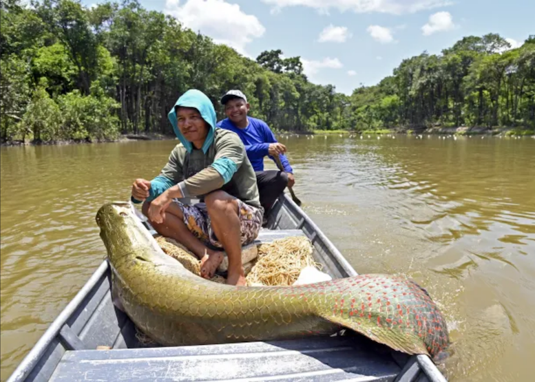 Brasil: las lecciones del pueblo del agua