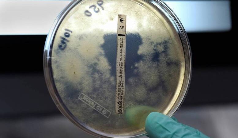 Meningitis B: qué saber tras el brote en Reino Unido y la situación en España