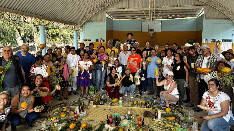 El maíz ya tiene casa