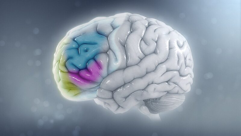 Píldora: El error Broca