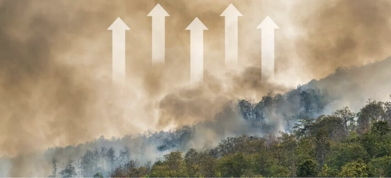 Los estados como traficantes de carbono