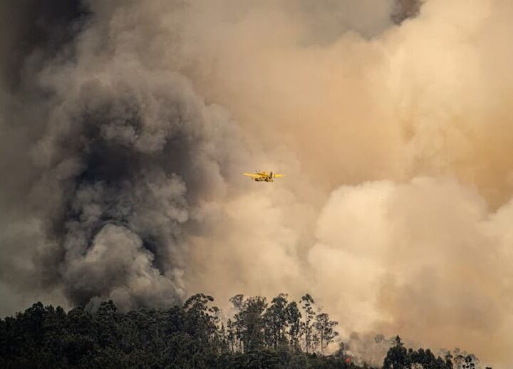 ¿Por qué respirar el humo de los incendios es dañino para la salud?