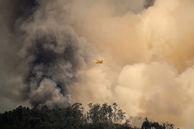 ¿Por qué respirar el humo de los incendios es dañino para la salud?
