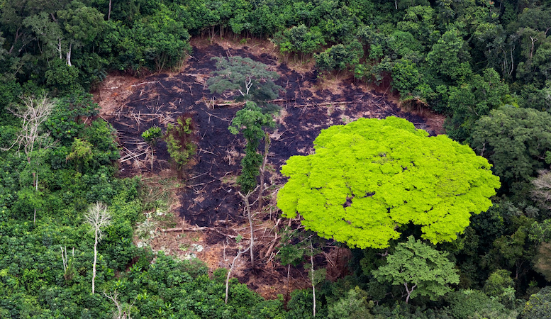 El próximo saqueo del Congo repercutirá en el planeta