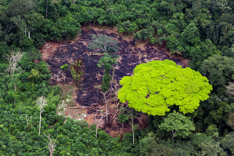 El próximo saqueo del Congo repercutirá en el planeta
