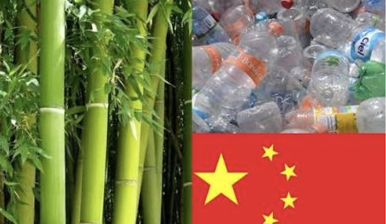 China sitúa al bambú en el centro de su estrategia contra el plástico