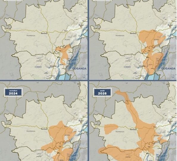 Porqué la sanguinaria milicia de las ADF sigue masacrando en el Congo pese a las ofensivas