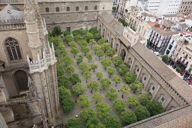 Exigen recuperar el Patio de los Naranjos como espacio público y gratuito