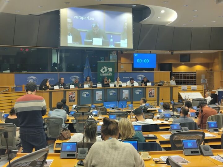 El Parlament Europeu convida la Koordinadora de Kolectivos del Parke Alcosa per la seua tasca comunitària al barri d’Alfafar