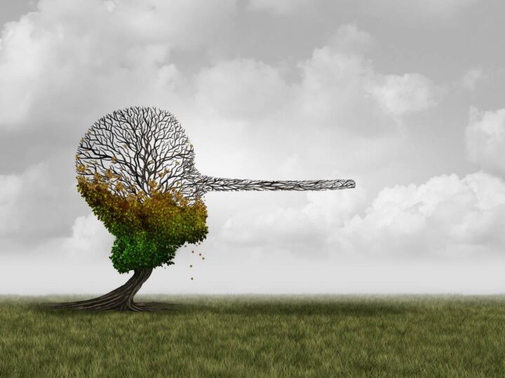 La desinformación climática y la disipación del riesgo