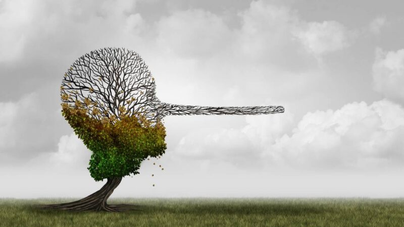 La desinformación climática y la disipación del riesgo