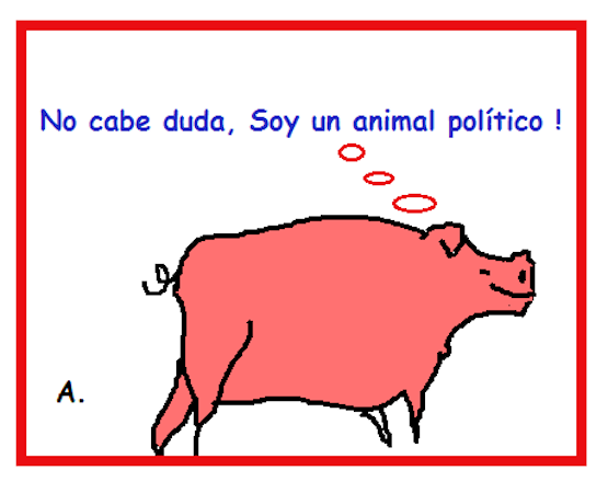 Elecciones