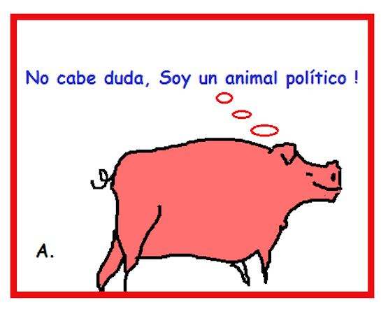 Elecciones