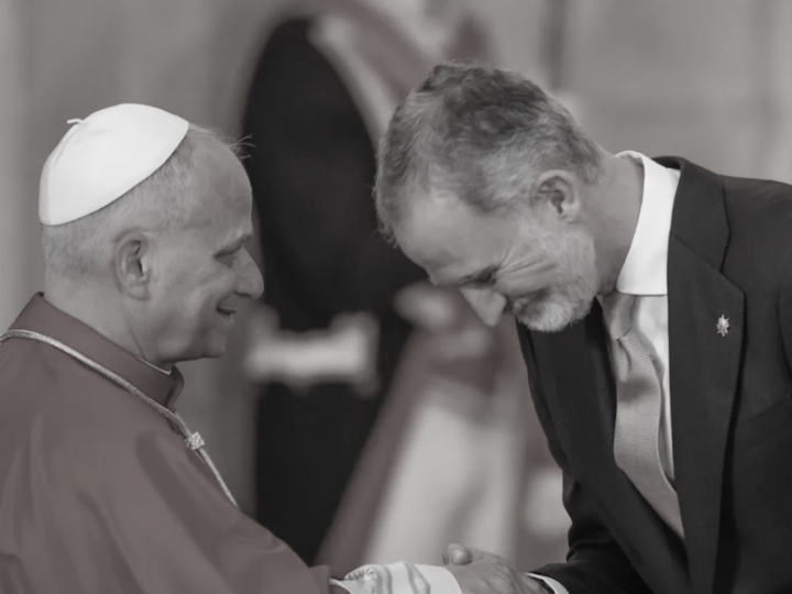 ¿Felipe VI contra la Constitución?